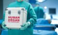 Donacion-Organos