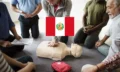 BLS Peru